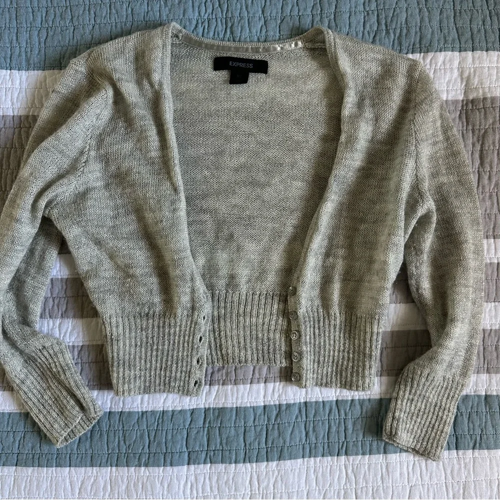 Express Y2K Vintage Merino Alpaca Mohair Gray Silver Crop Sweater XS